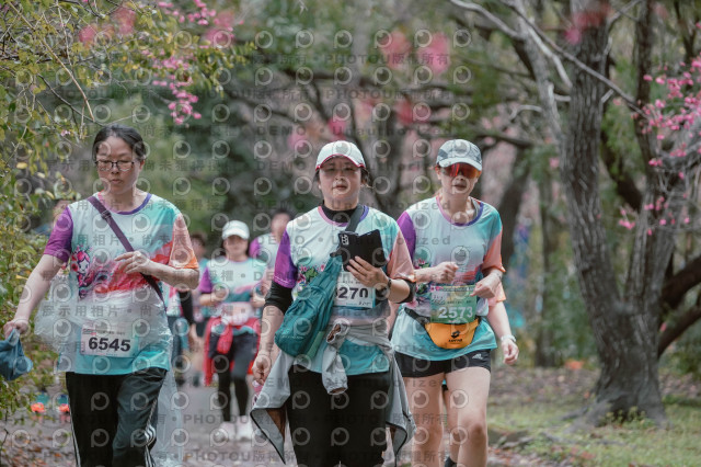 2026左岸竹東櫻花馬拉松Zhudong Sakura Marathon