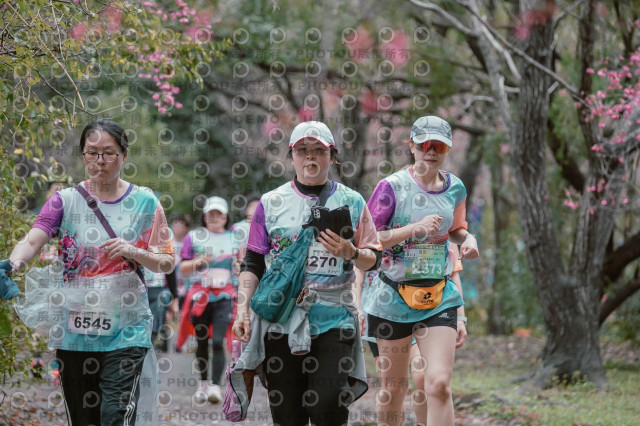 2026左岸竹東櫻花馬拉松Zhudong Sakura Marathon