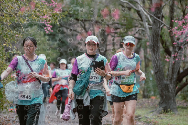 2026左岸竹東櫻花馬拉松Zhudong Sakura Marathon