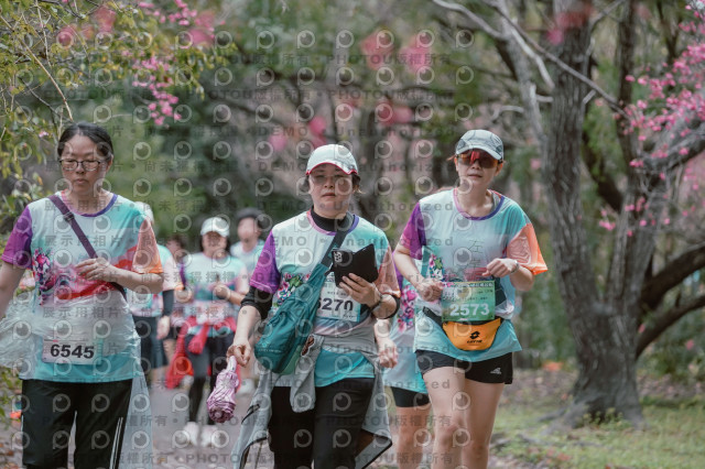 2026左岸竹東櫻花馬拉松Zhudong Sakura Marathon