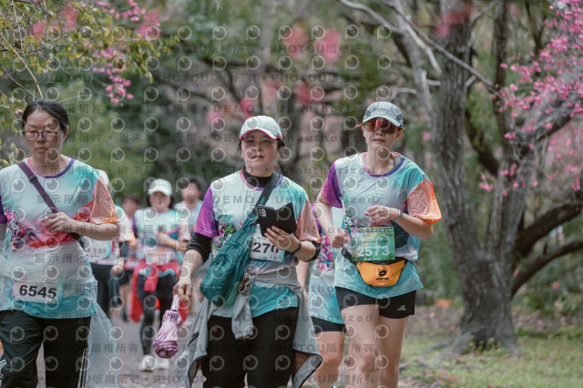 2026左岸竹東櫻花馬拉松Zhudong Sakura Marathon