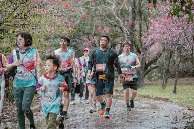 2026左岸竹東櫻花馬拉松Zhudong Sakura Marathon