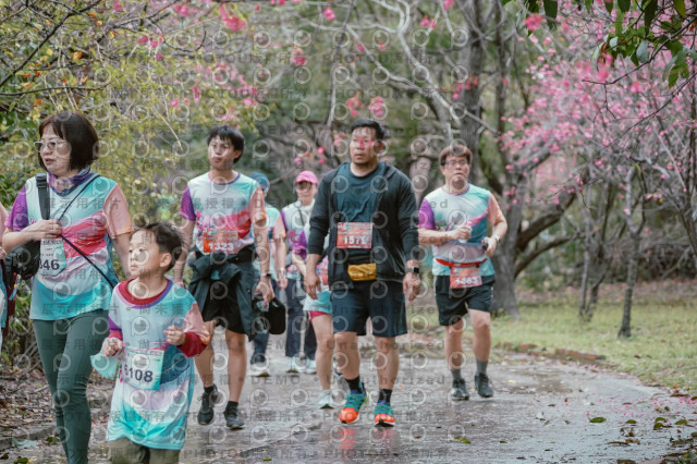 2026左岸竹東櫻花馬拉松Zhudong Sakura Marathon