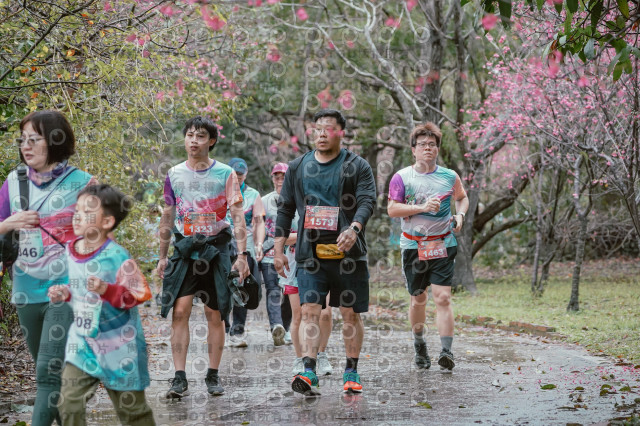 2026左岸竹東櫻花馬拉松Zhudong Sakura Marathon