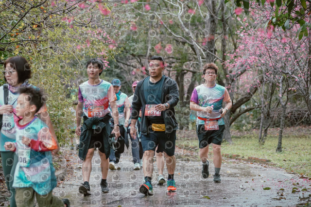 2026左岸竹東櫻花馬拉松Zhudong Sakura Marathon