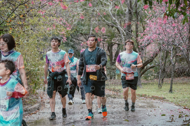 2026左岸竹東櫻花馬拉松Zhudong Sakura Marathon