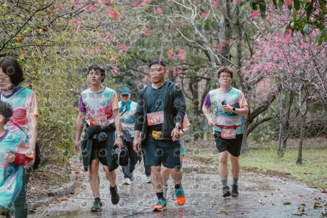 2026左岸竹東櫻花馬拉松Zhudong Sakura Marathon