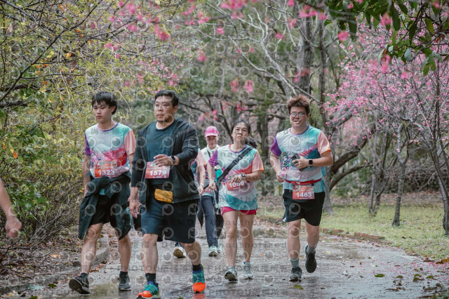 2026左岸竹東櫻花馬拉松Zhudong Sakura Marathon