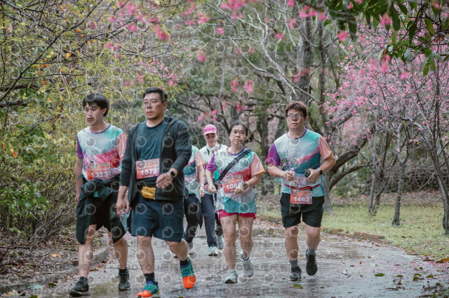 2026左岸竹東櫻花馬拉松Zhudong Sakura Marathon