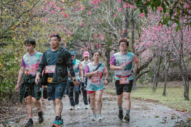 2026左岸竹東櫻花馬拉松Zhudong Sakura Marathon