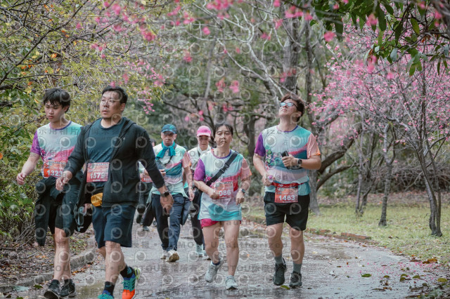 2026左岸竹東櫻花馬拉松Zhudong Sakura Marathon
