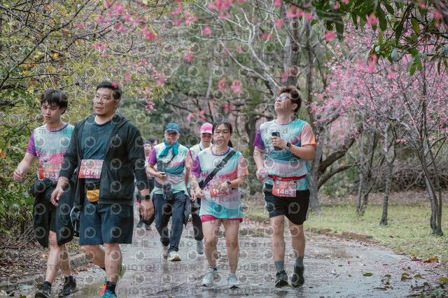 2026左岸竹東櫻花馬拉松Zhudong Sakura Marathon