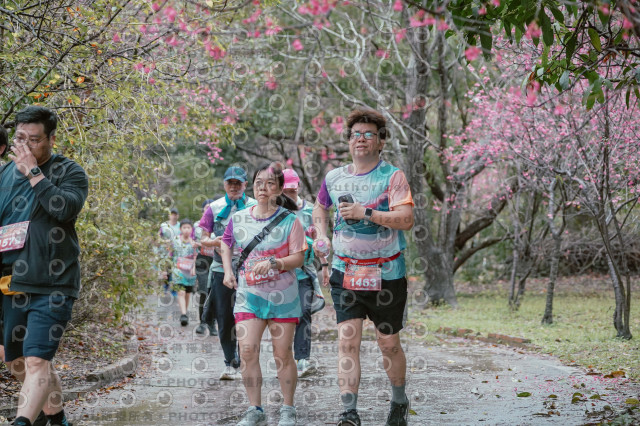 2026左岸竹東櫻花馬拉松Zhudong Sakura Marathon