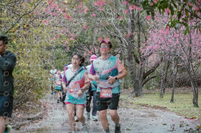 2026左岸竹東櫻花馬拉松Zhudong Sakura Marathon