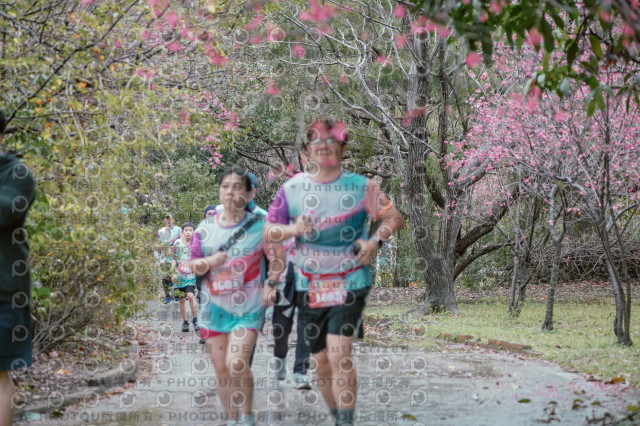 2026左岸竹東櫻花馬拉松Zhudong Sakura Marathon