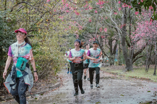 2026左岸竹東櫻花馬拉松Zhudong Sakura Marathon