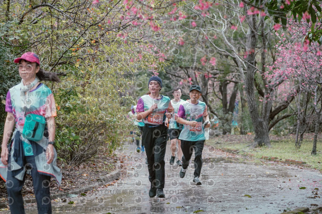 2026左岸竹東櫻花馬拉松Zhudong Sakura Marathon