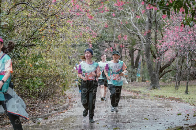 2026左岸竹東櫻花馬拉松Zhudong Sakura Marathon