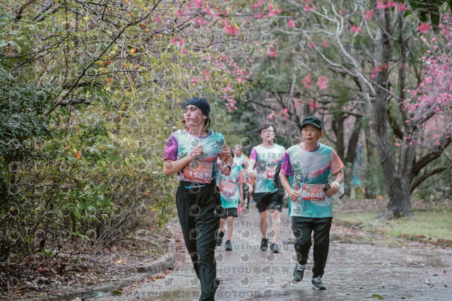 2026左岸竹東櫻花馬拉松Zhudong Sakura Marathon