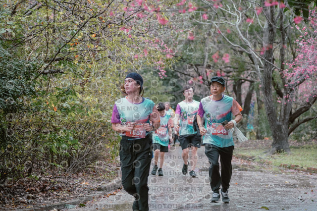 2026左岸竹東櫻花馬拉松Zhudong Sakura Marathon