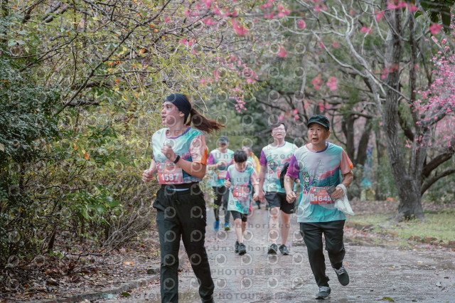 2026左岸竹東櫻花馬拉松Zhudong Sakura Marathon