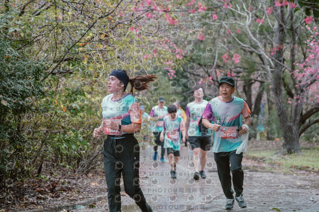 2026左岸竹東櫻花馬拉松Zhudong Sakura Marathon
