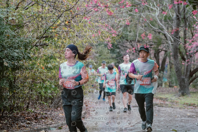 2026左岸竹東櫻花馬拉松Zhudong Sakura Marathon
