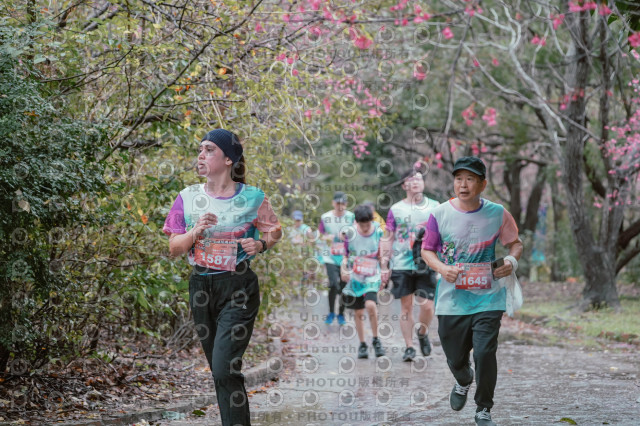 2026左岸竹東櫻花馬拉松Zhudong Sakura Marathon