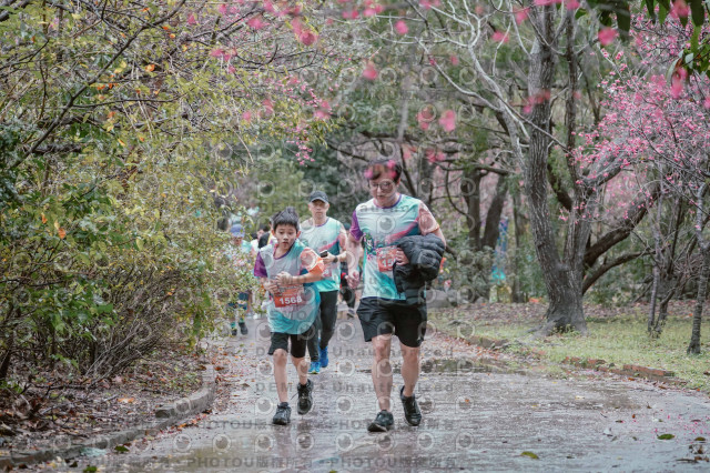 2026左岸竹東櫻花馬拉松Zhudong Sakura Marathon