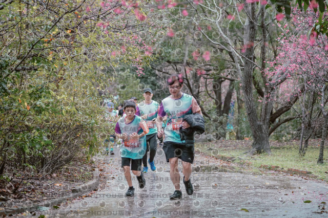 2026左岸竹東櫻花馬拉松Zhudong Sakura Marathon