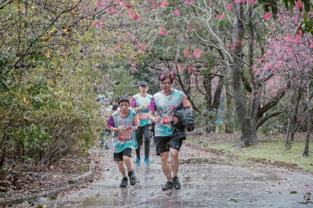 2026左岸竹東櫻花馬拉松Zhudong Sakura Marathon