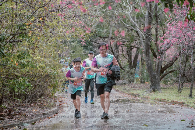 2026左岸竹東櫻花馬拉松Zhudong Sakura Marathon