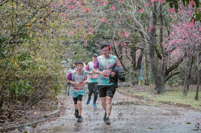 2026左岸竹東櫻花馬拉松Zhudong Sakura Marathon