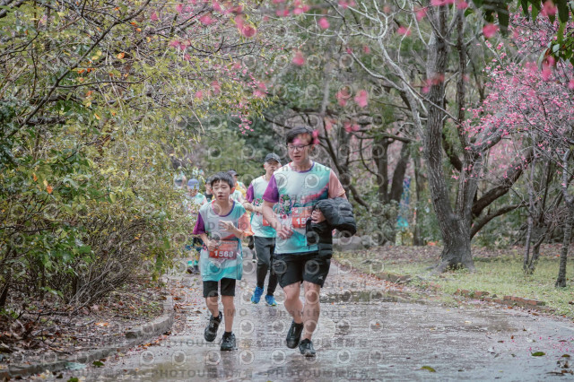 2026左岸竹東櫻花馬拉松Zhudong Sakura Marathon