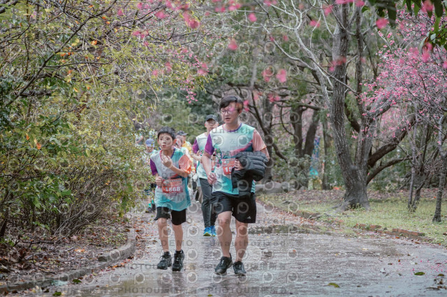 2026左岸竹東櫻花馬拉松Zhudong Sakura Marathon