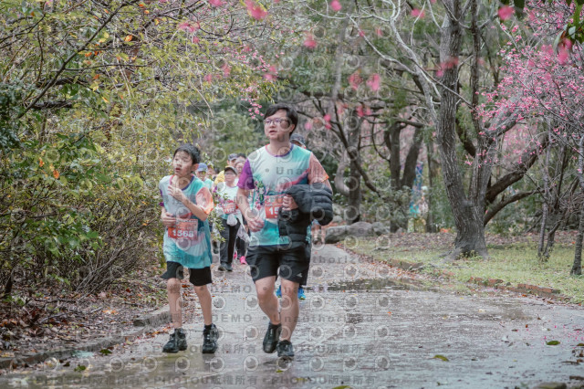 2026左岸竹東櫻花馬拉松Zhudong Sakura Marathon