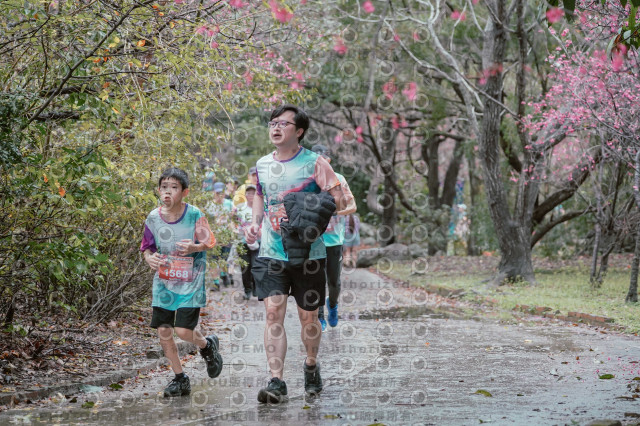 2026左岸竹東櫻花馬拉松Zhudong Sakura Marathon