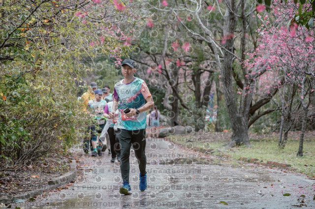 2026左岸竹東櫻花馬拉松Zhudong Sakura Marathon