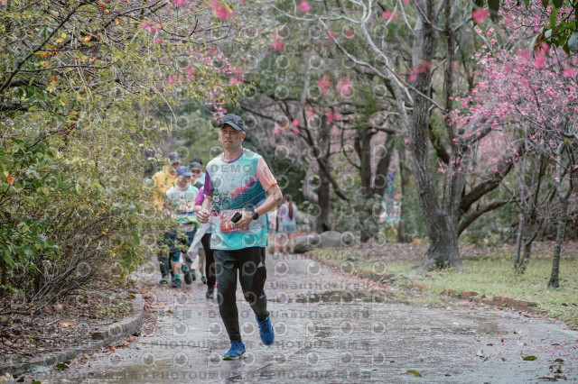 2026左岸竹東櫻花馬拉松Zhudong Sakura Marathon