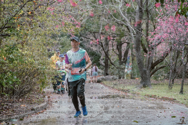 2026左岸竹東櫻花馬拉松Zhudong Sakura Marathon