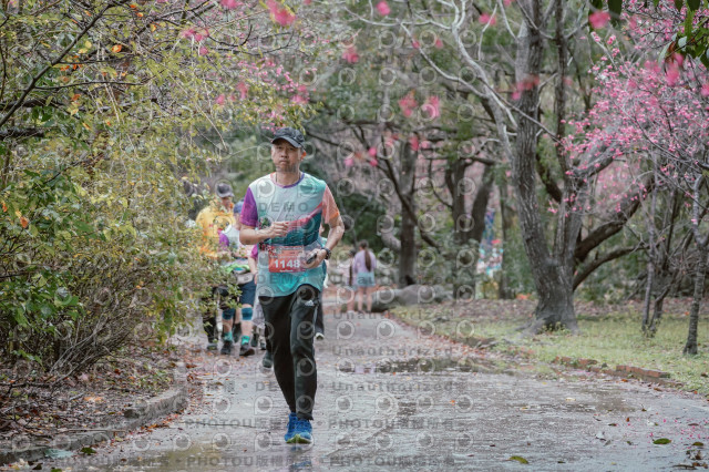 2026左岸竹東櫻花馬拉松Zhudong Sakura Marathon