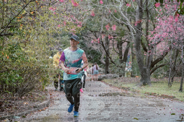 2026左岸竹東櫻花馬拉松Zhudong Sakura Marathon