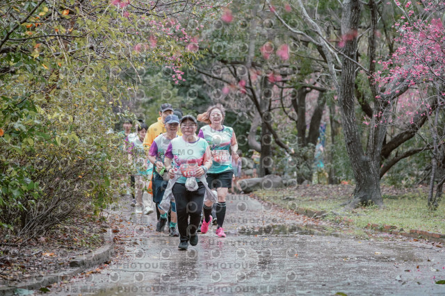 2026左岸竹東櫻花馬拉松Zhudong Sakura Marathon