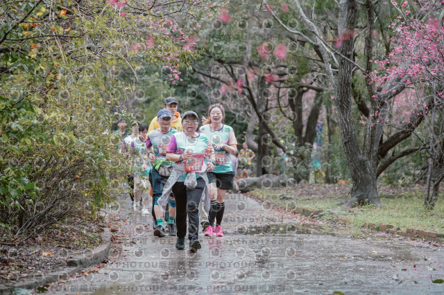 2026左岸竹東櫻花馬拉松Zhudong Sakura Marathon