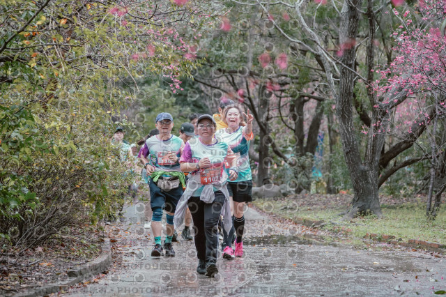 2026左岸竹東櫻花馬拉松Zhudong Sakura Marathon