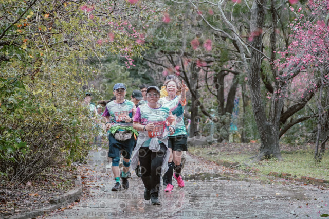 2026左岸竹東櫻花馬拉松Zhudong Sakura Marathon