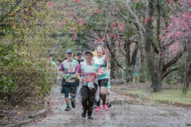 2026左岸竹東櫻花馬拉松Zhudong Sakura Marathon
