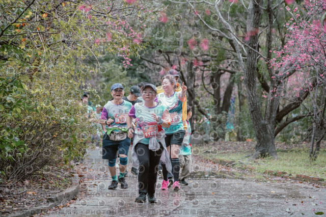 2026左岸竹東櫻花馬拉松Zhudong Sakura Marathon