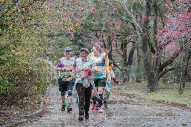 2026左岸竹東櫻花馬拉松Zhudong Sakura Marathon