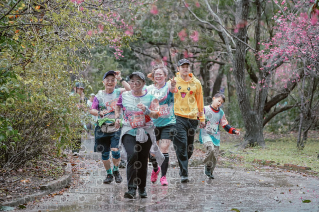 2026左岸竹東櫻花馬拉松Zhudong Sakura Marathon